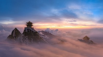 图虫