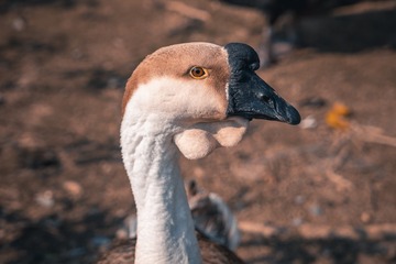 A047172D-42F6-404D-A6B8-D85759C02C80/L0/001