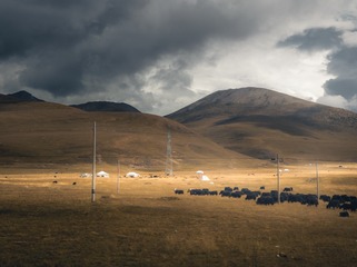 1000061651