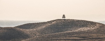_DSC1193-2