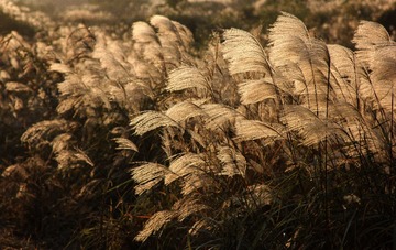 IMG_0130-2
