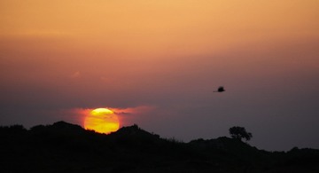 20110812_1312-3