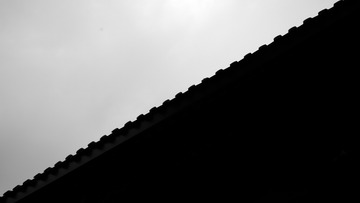 1113638