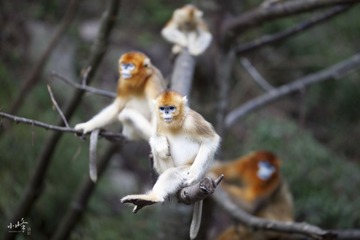 IMG_9780.JPG