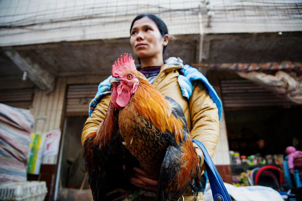 卖鸡的彝族妇女