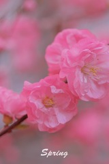 CC9A771D-145D-40AB-9AD5-E71FD8CA8E5D/L0/001