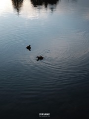 3FE920F7-41DB-4335-AD7F-1C15D58EBB44/L0/001