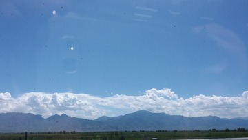 564432