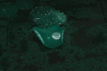 2328162