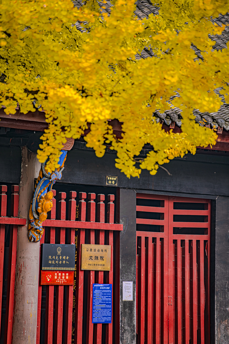 成都文殊院大门紧闭! - 乐活映像 - 图虫