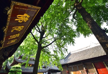 _HAO0278