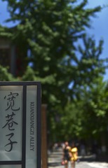 _HAO23165