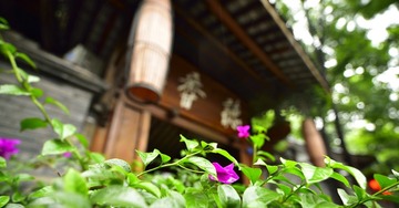 _HAO0489