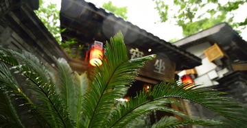 _HAO0504