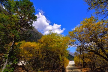 HAO_1734