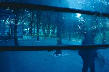 1000012264
