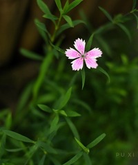 001