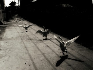 IMG-5000-195205-135-02-01
