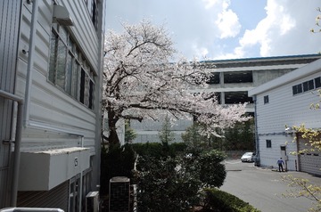 R0010140