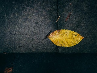 P7190122