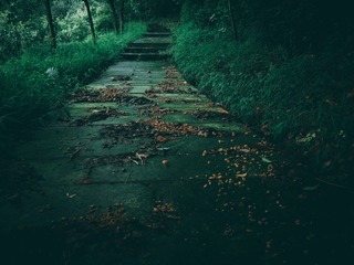 P7190128