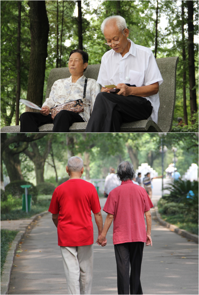 我的爷爷奶奶和路上偶遇的老夫妻 br /> 他们牵手的样子,让周围的一切