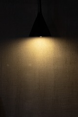 43405B82-0DC2-4F07-964F-D737529BDD83/L0/001