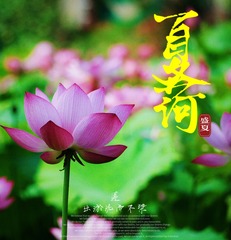 061A200E-6C14-4B29-BD36-960D5EEC225A/L0/001