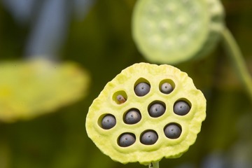 8313
