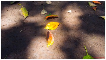 20120420_122841