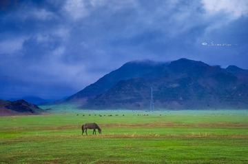 牧场