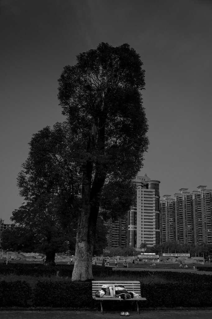 哦！旅行者，要学会行走<br />
任地球翻滚，那一伏一起<br />
在这些树和那些星之间摇荡：<br />
把太阳光摇上墙壁。<br />
要学会在这狭窄的床上<br />
好好安睡，别管大海，别管<br />
狂奔的行星发出的喧闹：<br />
要学会贴着大地安睡。<br />
<br />
拍摄于2016年9月22日18：13于深圳沙井市民广场
