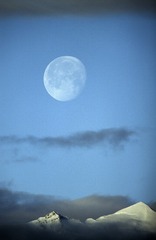 IMG_56991
