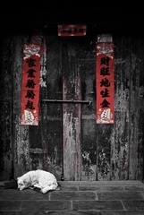 IMG_9806-1