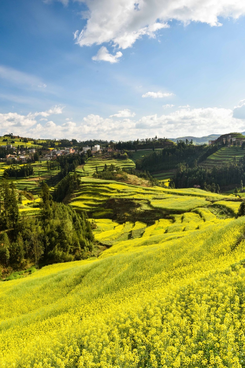 钻天坡,走错路的好处,早上的光线很好