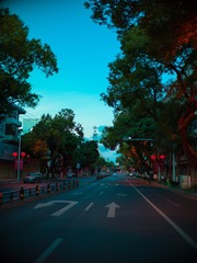 TuKi000120206200 x 8272