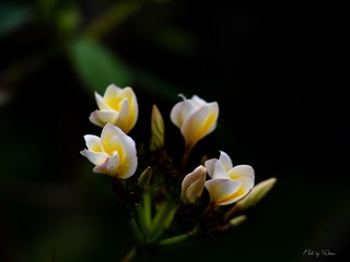 E9029B69-E7A7-489B-A4B3-233DA94794EA/L0/001