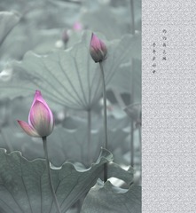 ?1