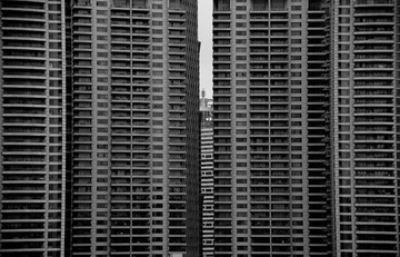 DSC_0499  1