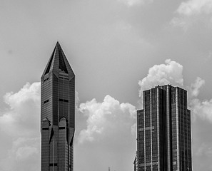 DSC_0458 1  1