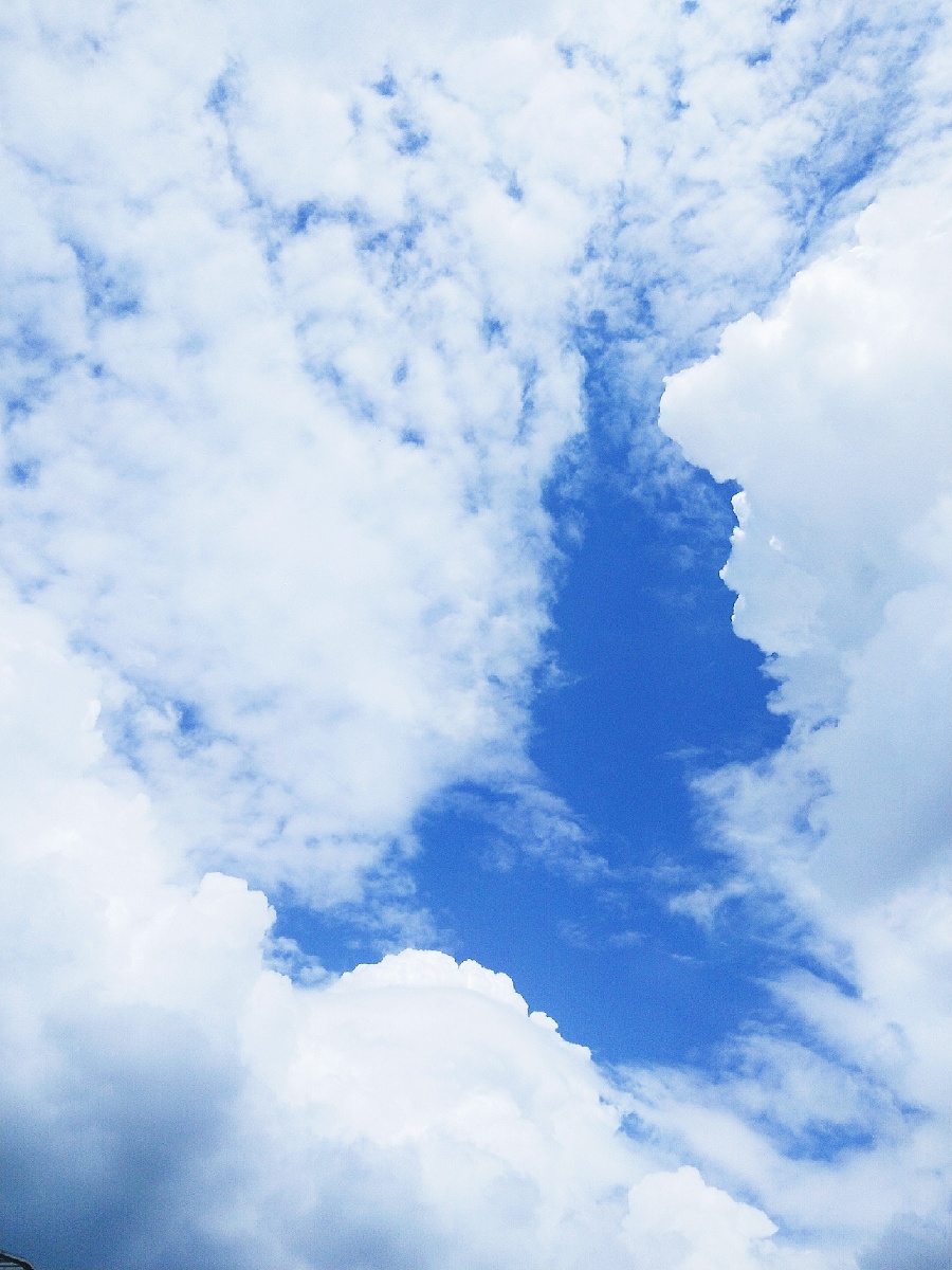 900_1200竖版 竖屏