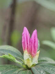 P1010225