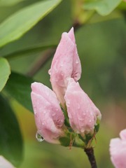 P1010235