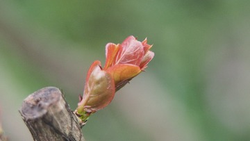 P1010298