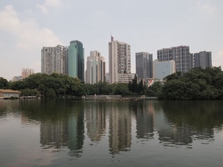 P9069594
