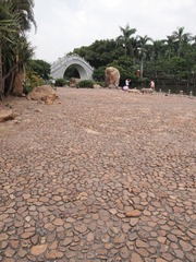 P9069603