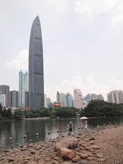 P9069606-2