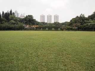 P9069677-3