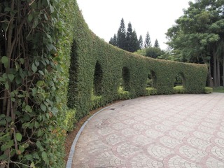 P9069683