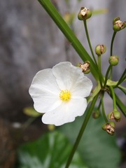 P9079820